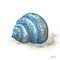Bohemian Shells I Poster Print by Tre Sorelle Studios - Item # VARPDXRB12702TS